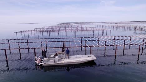 Drone-camera-flies-low-over-structures-with-taut-nylon-ropes-for-oyster-farming-in-a-bay-near-the-town-of-Sète,-France