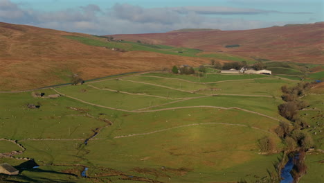 Establishing-Aerial-Drone-Shot-of-Yorkshire-Dales-Landscape-Fields-of-Sheep-at-Golden-Hour-UK