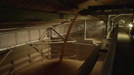 Wheat-Falling-Off-Conveyor-Belt-Into-Container-Inside-Silo