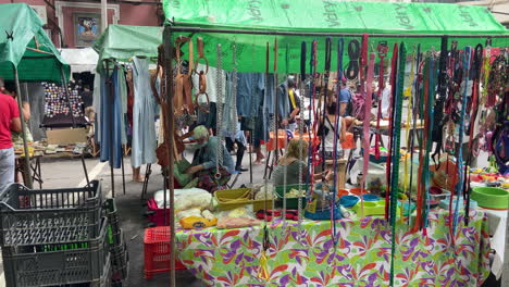 Tienda-De-Mascotas-En-El-Mercado-Abierto