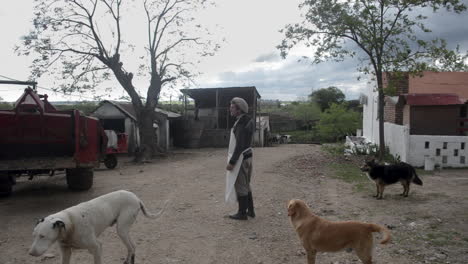 Farmer-surrounded-by-dogs-in-a-farm
