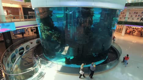 Ein-Riesiges-Aquarium-In-Der-Marokko-Mall-Of-Africa