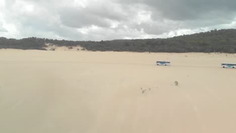 Aerial-drone-shot-of-two-tourist-buses-driving,-through-dunes,-in-a-desert,-on-a-warm-day,-at-moreton-island,-in-Queensland,-Australia