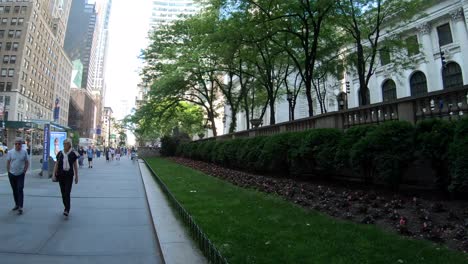 Hyperlapse-along-sidewalk-of-New-York-Public-Library