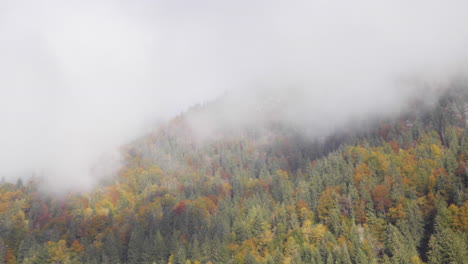 Zeitraffer-Des-Waldes-Mit-Ziehenden-Wolken-Im-Herbst