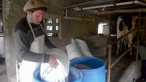 Dairyman-pouring-cow-food-from-a-bag-in-dairy-farm