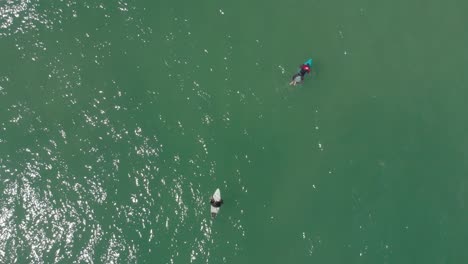 Principiante-Dos-Surfistas-Aprendiendo-A-Flotar-Y-Mantener-El-Equilibrio-En-La-Tabla-De-Olas-De-La-Playa-De-Santinho-Brasil
