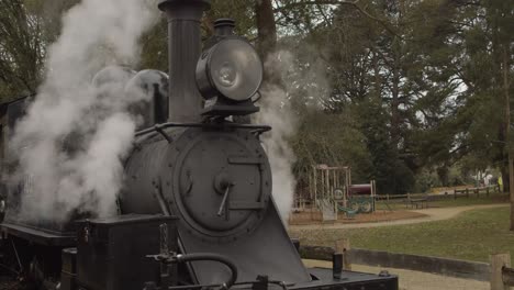 Historic-'Puffing-Billy'-steam-train-releasing-steam-at-Gembrook-Station