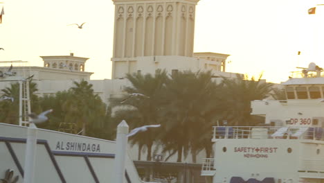 Seagulls-Flying-Over-The-Dubai-Creek-In-Deira,-Dubai,-United-Arab-Emirates---trucking-shot