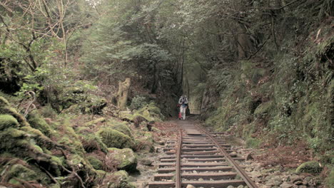 Tourists-walking-along-old-steel---wood-rail-line-on-trail-surrounded-by-woodlands-in-Kyoto,-Japan