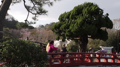 Crowds-walking-over-red-bridge-in-Kamakura