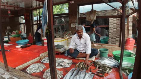 Hombre-Indio-Sentado-Clasificando-Pescado-En-Exhibición-En-El-Mercado-De-Mariscos,-Gurugram,-India