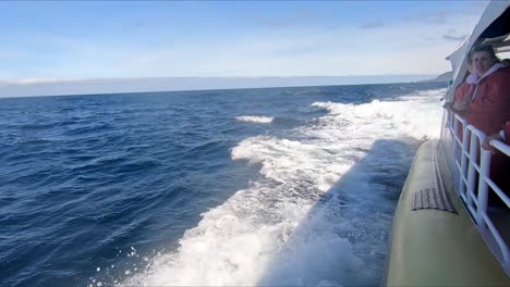 Isla-Bruny,-Tasmania,-Australia---15-De-Marzo-De-2019:-Pasajeros-En-Un-Barco-Turístico-Rápido-Frente-A-La-Isla-Bruny-Mirando-Delfines-Nadando-Y-Saltando-Junto-Al-Barco
