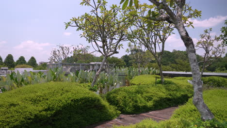 Jardín-En-La-Azotea-En-La-Cima-Del-Centro-Comercial-Greenwich-V-En-Singapur