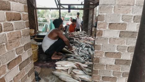 Hombre-Indio-Clasificando-Y-Vendiendo-Pescado-Fresco-En-El-Mercado-De-Pescado-De-Bristol-En-India