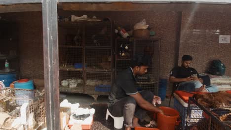 Indischer-Mann-Zupft-Die-Federn-Eines-Hühnerbeins-Und-Wäscht-Es-über-Einem-Eimer-Wasser-Auf-Einem-Markt-In-Indien