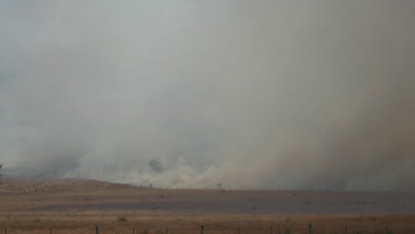Grass-fire-fed-by-strong-winds-on-warm-day-in-Australia,-thick-bellowing-smoke