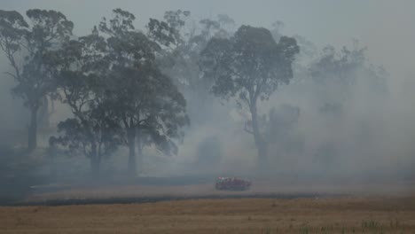 Huge-grass-fire-amongst-tall-trees-with-a-fire-engine-truck-looking-tiny-in-comparison
