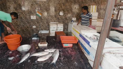 Indisches-Kind-Schuppt-Fische-Und-Hilft-Erwachsenen-Beim-Tragen-Von-Styroporkisten-Mit-Frischem-Fisch-Auf-Dem-Fischmarkt-In-Bristol-In-Indien