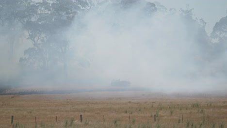 Fire-engine-truck-in-thick-smoke-near-tall-tress-on-edge-of-huge-grass-fire-in-Australia