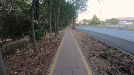 Cycling-along-a-bike-lane-parallel-to-a-highway-among-trees-and-vegetation-in-the-city