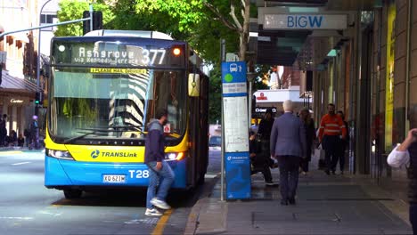Static-shot-capturing-Ashgrove-377-bus-waiting-for-passengers-at-stop-87-in-front-of-Big-W-on-Elizabeth-street-at-central-business-district,-downtown-Brisbane-city,-busy-foot-traffics-on-the-street