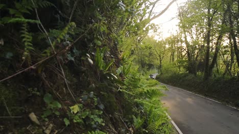 Car-speeding-on-a-country-road-surrounded-by-trees,-in-Pembrokeshire,-Wales,-on-a-sunny-evening