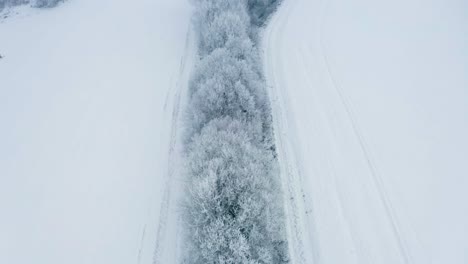 Aerial-view-of-frost-covered-treetops-in-ditch-trench-near-field-during-winter