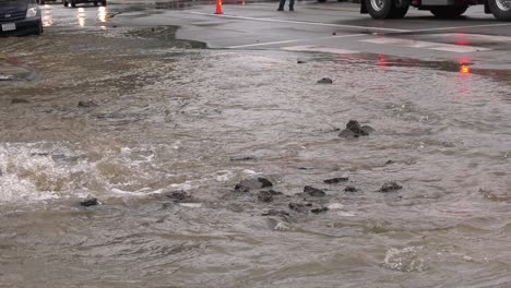 Straßenüberschwemmung-Sperrt-Straße-