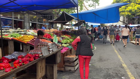 Woman-shopping-at-farmers-market