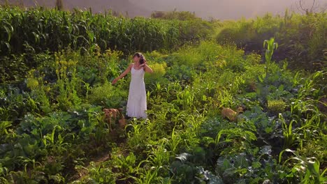 Frau-Mit-Weißem-Kleid-Tanzt-Glücklich-Neben-Ihrem-Hund-Im-Grünen-Feld,-Lima,-Peru