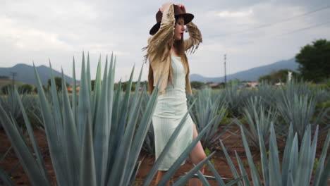 Young-model-cat-walking-amidst-agave-fields,-in-Jalisco,-Mexico---Tracking-shot