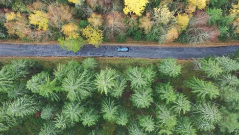 Luftaufnahme-Einer-Autofahrt-Auf-Einer-Dunklen-Straße-Zwischen-Farbenfrohem-Herbst-Und-Immergrünen-Wäldern