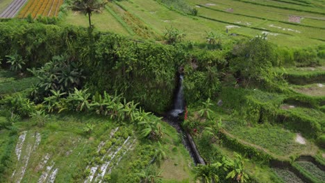 Waterfall-feeding-irrigation-canal-at-step-farming-fields,-Bali