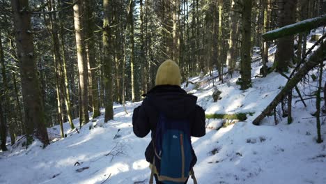 Young-woman-hiking-in-snowy-winter-forest-in-Vosges,-France