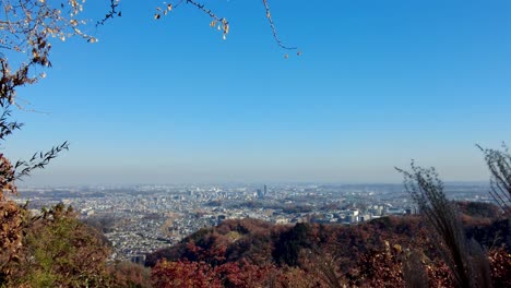 Mount-Takao-Day-Trip:-Explore-Tokyo's-Favorite-Mountain
