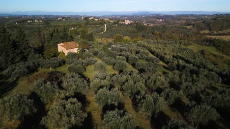 Slow-aerial-dolly-above-olive-tree-orchards-casting-long-shadows-onto-villa-homes