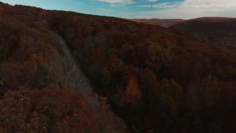 Autumn-Forest-And-Dirt-Road-In-Arkansas,-USA---Drone-Shot