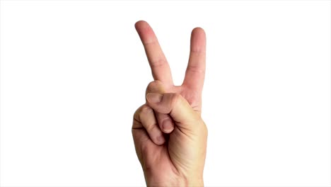 Close-up-shot-of-a-male-hand-throwing-a-classic-peace-sign,-against-a-plain-white-background
