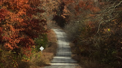 Landstraße-Zwischen-üppigen-Wäldern-Mit-Bunten-Herbstbäumen-In-Ar,-USA---Drohnenaufnahme