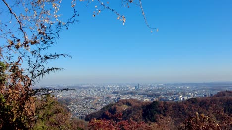Excursión-De-Un-Día-Al-Monte-Takao:-Explora-La-Montaña-Favorita-De-Tokio