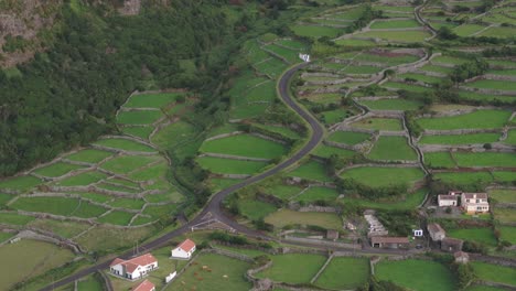 Green-meadows-at-flores-island-near-Fajã-Grande,-Azores---Drone-shot