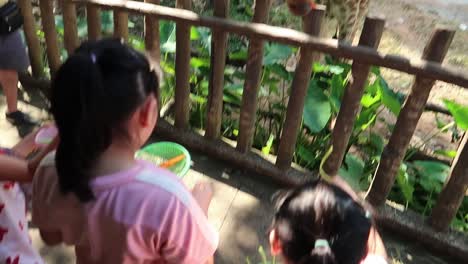 Little-sister-girls-hand-feeding-Giraffe-at-zoo,-rear-view
