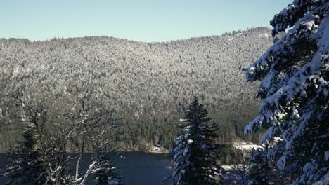Malerische-Weitwinkelaufnahme-Des-Longemer-Sees-Mit-Schneebedeckten-Pinienwaldbergen,-Vogesen,-Frankreich