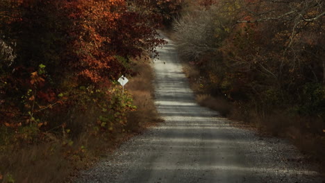 Empty-Dirt-Road-Through-The-Woods-With-Autumn-Foliage