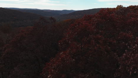 Flying-Over-Dense-Autumn-Forest-In-Arkansas,-USA---Drone-Shot