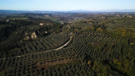 Olive-trees-line-up-in-perfect-row-and-columns-on-edge-of-winding-road-in-Tuscany-Italy