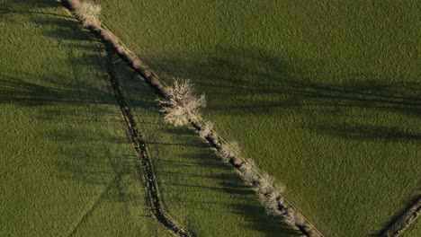 Birds-Eye-View-Hedgerow-Grass-Field-Water-Welland-Valley-Leicestershire-England-Aerial-Overhead
