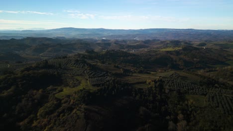 Panorama-Luftbild-Mit-Blick-Auf-Toskanische-Hügel-Mit-Olivenhainen-Zur-Mittagszeit