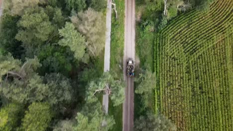 An-American-Second-World-War-Halftrack-driving-through-the-forests-near-the-Ginkel-Heath-filmed-from-above-by-a-drone